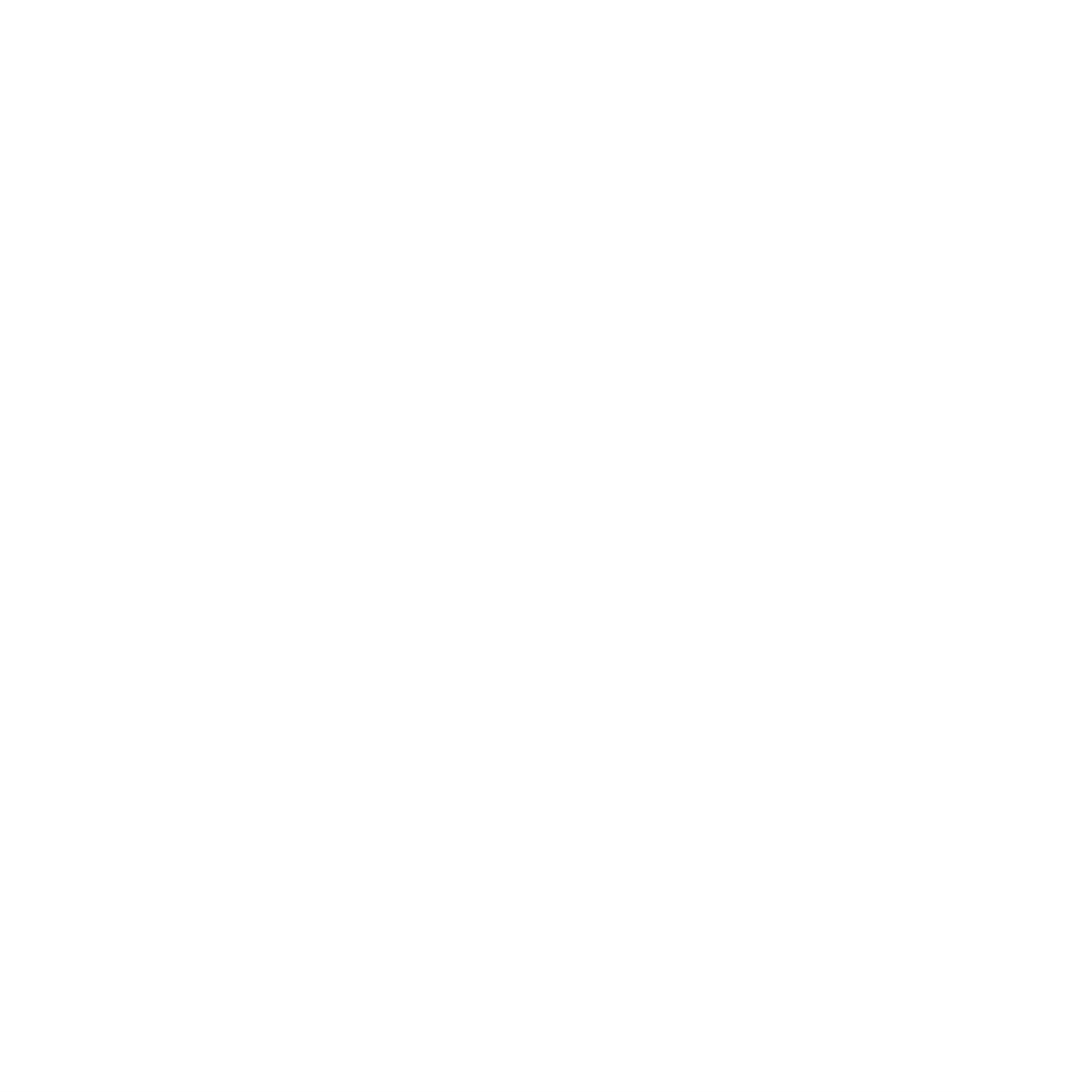 Diamondsc diamond security logo